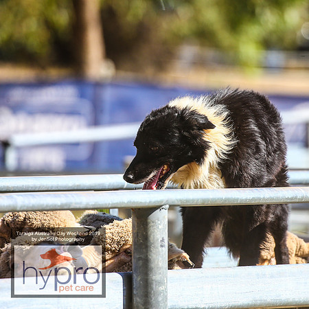 TaralgaRodeo2019_5052