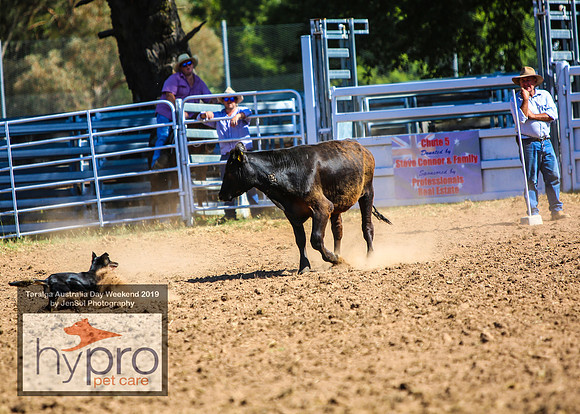 TaralgaRodeo2019_0871