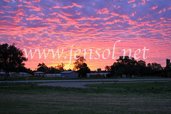 Cowra_0051