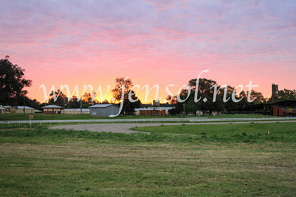 Cowra_0047