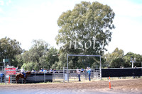 CowraCampdraft_2711