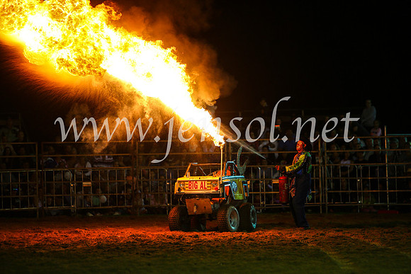CamdenShowRodeo2017_0973