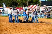 CamdenShowRodeo2017_0096