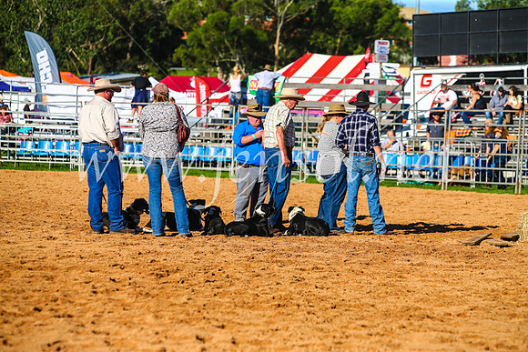 CamdenShowRodeo2017_0096
