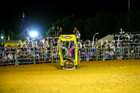 CamdenShowRodeo2017_0983