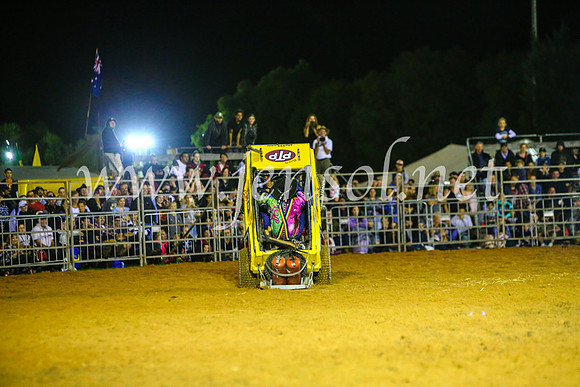 CamdenShowRodeo2017_0983
