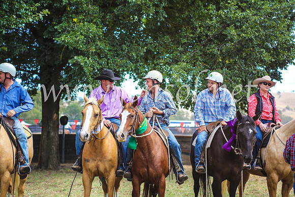 GundagaiCampdraft2017_0368