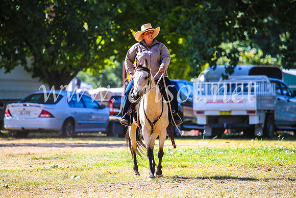 GundagaiCampdraft2017_0048