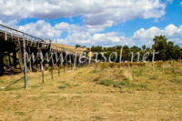 GundagaiCampdraft2017_0367
