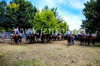 GundagaiCampdraft2017_0369