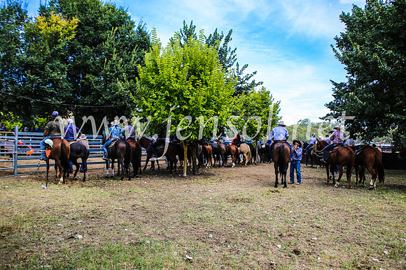 GundagaiCampdraft2017_0369