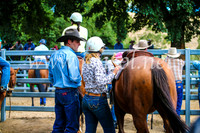 GundagaiCampdraft2017_0339
