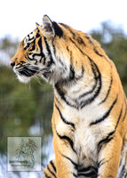 CanberraZooSep20_0033