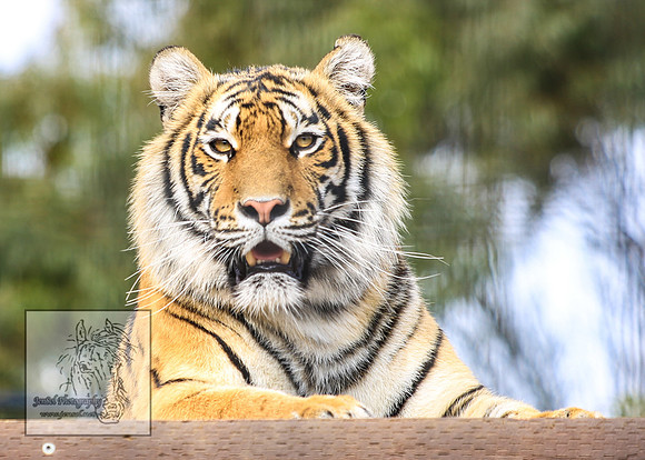 CanberraZooSep20_0030