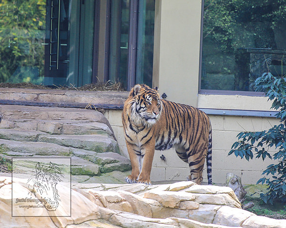 CanberraZooSep20_0001
