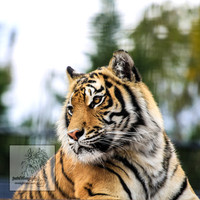 CanberraZooSep20_0080