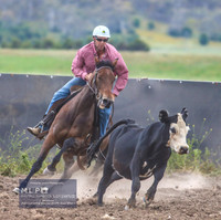 Novice