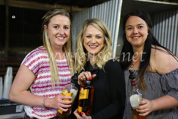 OrangeCampdraft5D_4114