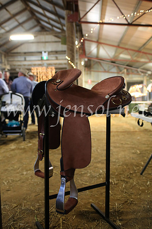 OrangeCampdraft5D_4113