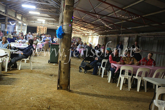 OrangeCampdraft5D_4121