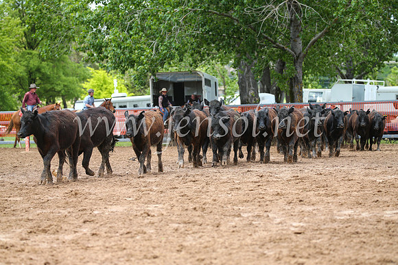 OrangeCampdraft2016_2671