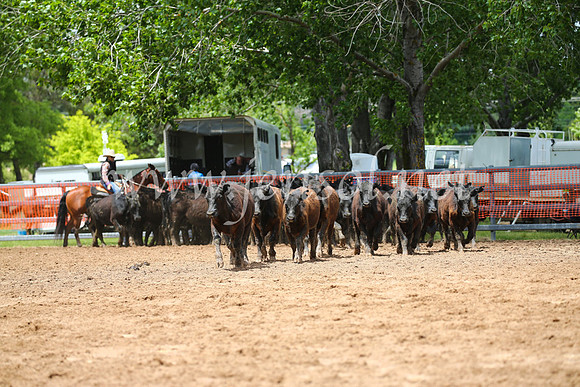 OrangeCampdraft2016_2665