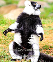 NZAJul2019_0054