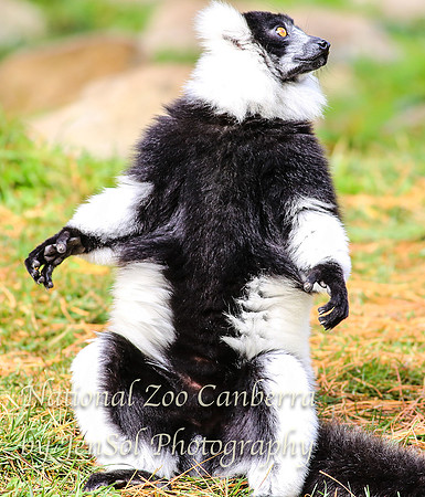 NZAJul2019_0054