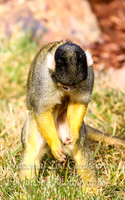 NZAJul2019_0085