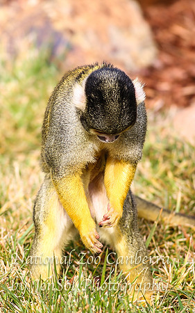 NZAJul2019_0085