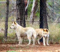 NZAJul2019_0014