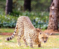 NZAJul2019_0033