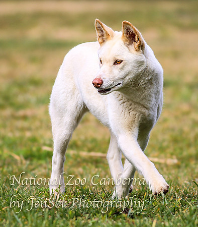 NZAJul2019_0020
