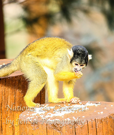 NZAJul2019_0092