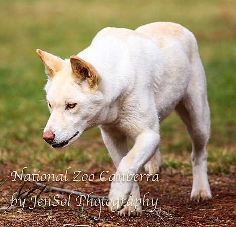 NZAJul2019_0025