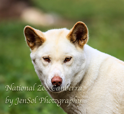 NZAJul2019_0026