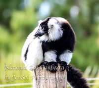 NZAJul2019_0045