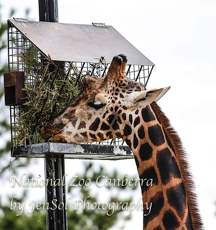 NZAJul2019_0077