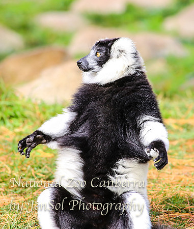 NZAJul2019_0051