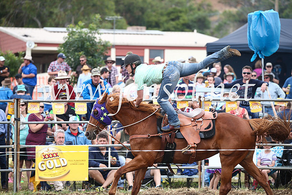 JindabyneRodeo2016_2866