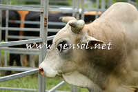 MossValeClinic_0039