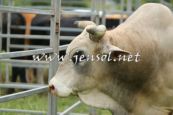 MossValeClinic_0039