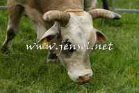 MossValeClinic_0040