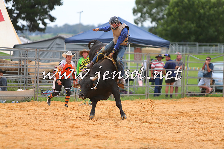 Zenfolio | JenSol Photography | Rodeo
