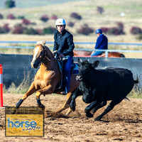 BraidwoodCampdraft2021_5353