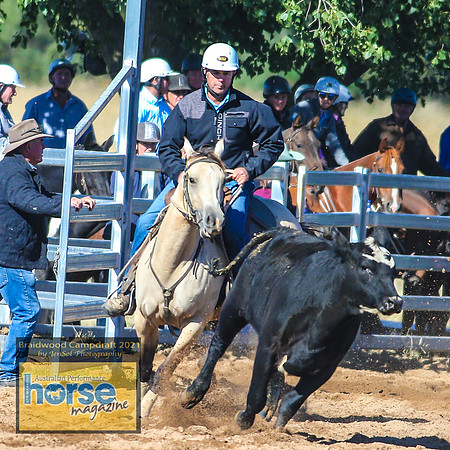 BraidwoodCampdraft2021_6342