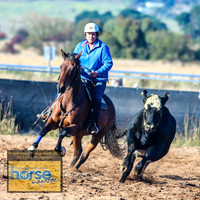 BraidwoodCampdraft2021_5274