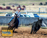 BraidwoodCampdraft2021_5215