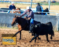 BraidwoodCampdraft2021_5162