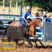 BraidwoodCampdraftSun2021_7053